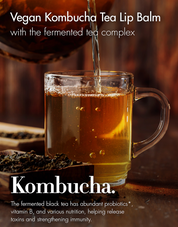 Dr. Ceuracle Vegan Kombucha Tea Lip Balm - Olive Kollection