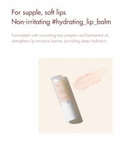 Dr. Ceuracle Vegan Kombucha Tea Lip Balm - Olive Kollection