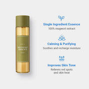 I'm From Mugwort Essence - Olive Kollection