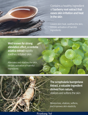 Pyunkang Yul Quick Moisturizing Professional Hand Cream - Olive Kollection