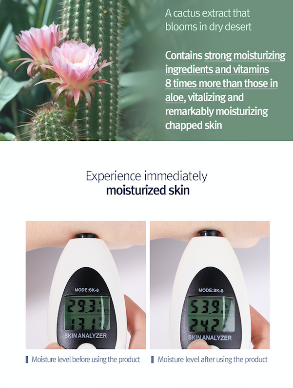 Pyunkang Yul Quick Moisturizing Professional Hand Cream - Olive Kollection