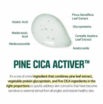 Round Lab Pine Calming Cica Cream - Olive Kollection