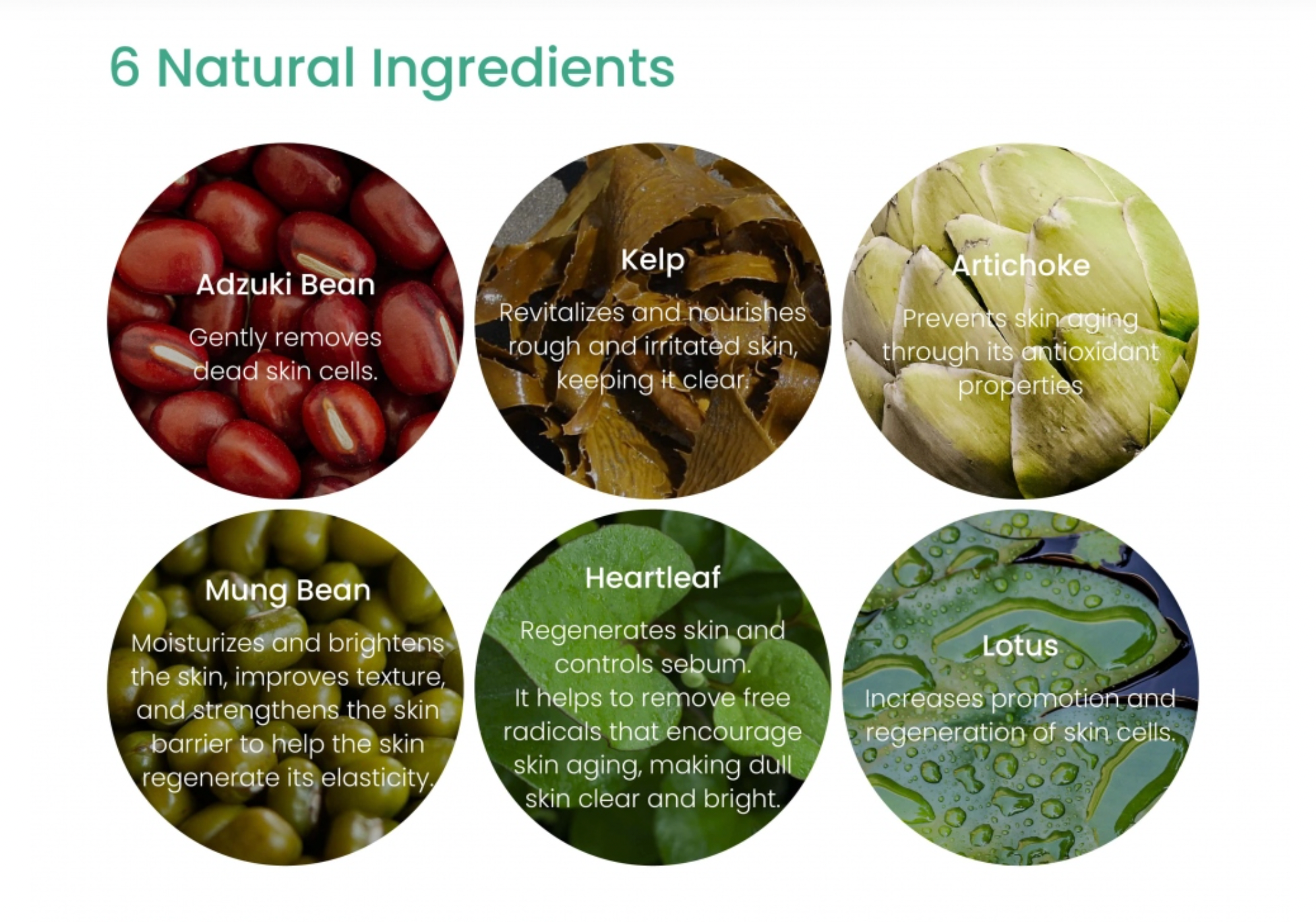 Axis-Y Mugwort Wash Off Pack ingredients – heartleaf artichoke mung bean lotus sea kelp licorice oat charcoal 10 botanicals