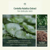 Pyunkang Yul Calming Moisture Barrier Cream 50ml - Olive Kollection
